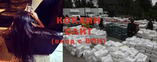 шишки Балабаново